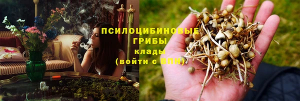 бутират Инта