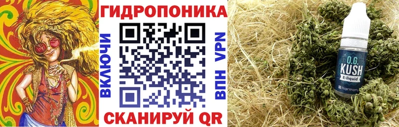 блэк спрут   Судогда  Шишки марихуана THC 21% 